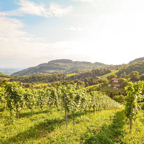 Kurztrip hotel österreich - kurztrip,
