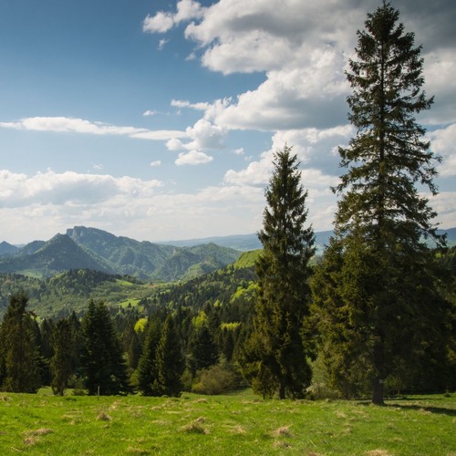 Kurzurlaub seefeld tirol - seefeld,